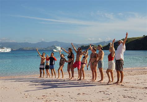 Pink Beach Komodo, Getting There and Activities - Komodo Touristic