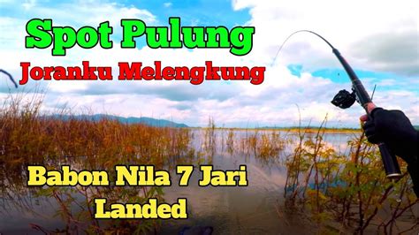 TARIKAN BABON NILAnya MANTAP Spot Mancing Nyobok WGM Terbaru