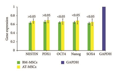 Relative Expression Of Relevant Genes By Bm Mscs And At Mscs Before Download Scientific Diagram