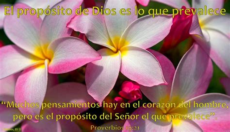 El Propósito de Dios Es Lo Que Prevalece Muchos pensamientos en el