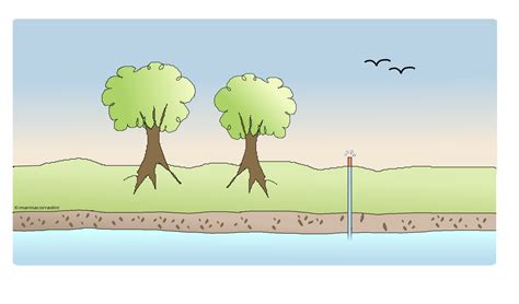 Seismology Ambient Seismic Noise And The Quest For Groundwater