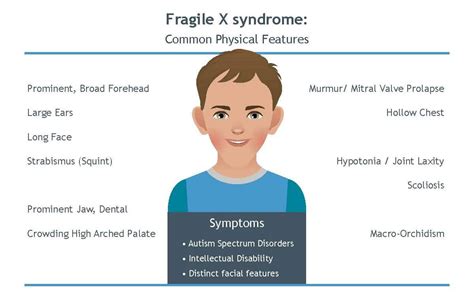 Fragile X Syndrome | Introduction to Language and Communication