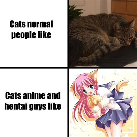 Who Else Like Pussy R Memes