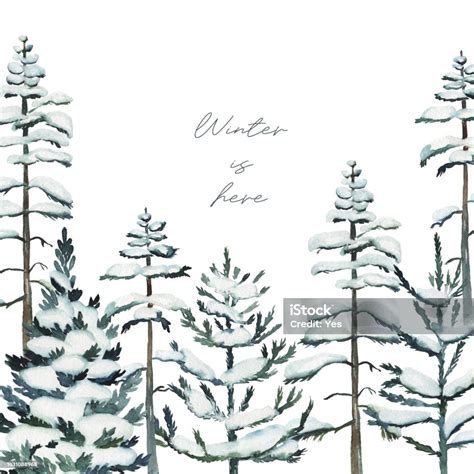 Card Template With Watercolor Snowy Pine Trees And Firs Winter Forest Background Hand Drawn On