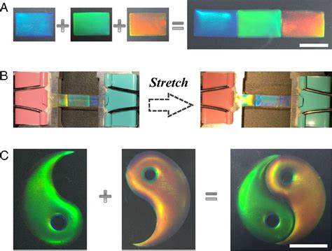 Bio Inspired Self Healing Structural Color Hydrogel PNAS