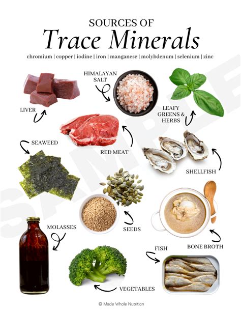 Sources Of Trace Minerals Handout — Functional Health Research Resources — Made Whole