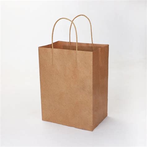 Garments Paper Bags 14x35x14in 80gsm Eco Bags India Paper Bags