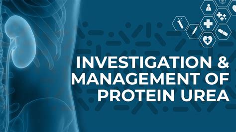 Proteinuria How To Detect Causes And Management Youtube