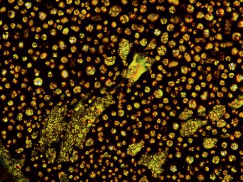 Photo Sensitive Complexes Based On Azobenzene