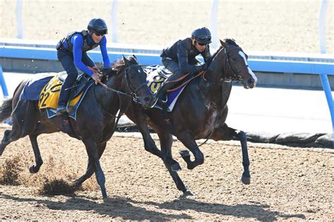 【天皇賞・秋】1週前追い 3歳馬ダノンベルーガが猛時計をマーク｜競馬ニュース｜競馬予想のウマニティ