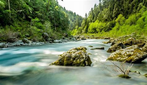 DIY Guide to Fly Fishing the Gallatin River in Montana | DIY Fly Fishing