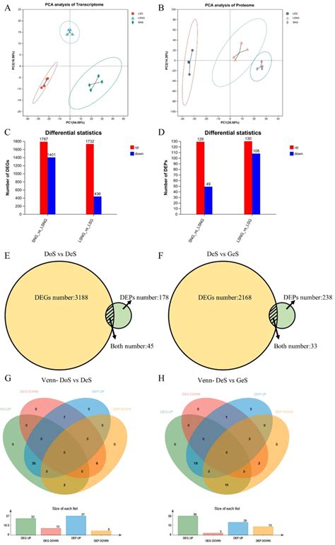 Basic Analysis Of Transcriptomic And Proteomic Data A B Principal Download Scientific