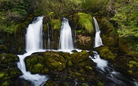 Beautiful Waterfalls Between Green Algae Covered Rocks Pouring On River In Forest Hd Nature