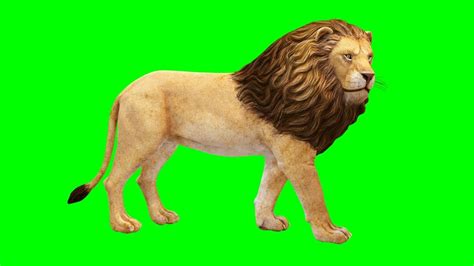 Green Lion