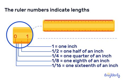 Ruler – Definition with Examples