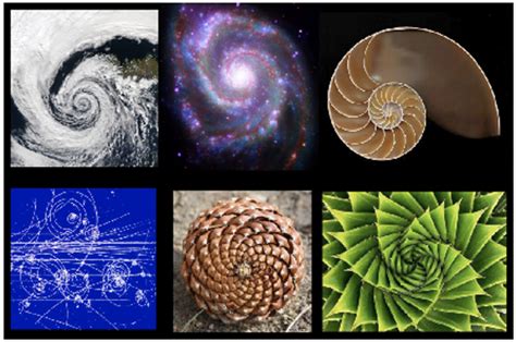 Finding The Fibonacci Spiral Patterns In Atmospheric Equatorial Waves