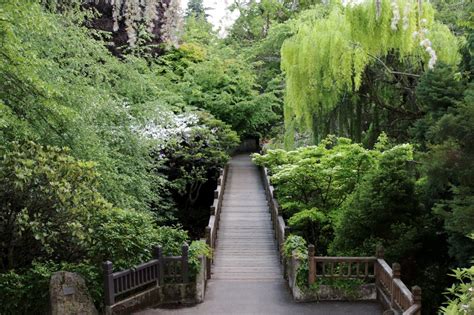 Crystal Springs Rhododendron Gardens | Kristi Does PDX: Adventures in ...