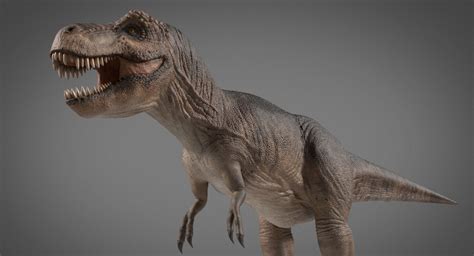 Tyrannosaurus Rex Dinosaur 3d Model Cadnav