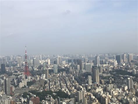 建築の日本展 森美術館 林建築設計室