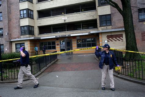 Bloody Ax Recovered As Man Arrested In Gruesome Brooklyn Murder The