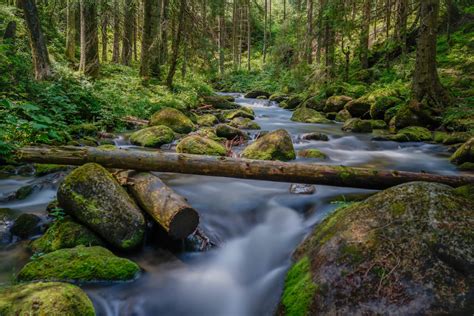 Images Gratuites paysage eau Roche cascade ruisseau région