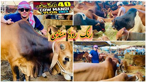 Peshawar Cow Mandi Latest Price Updates Palosa Mandi Kala Mandi