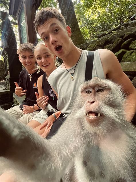 Monkey Selfie In Ubud Bali