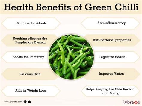 Green Chilli Benefits And Its Side Effects Lybrate