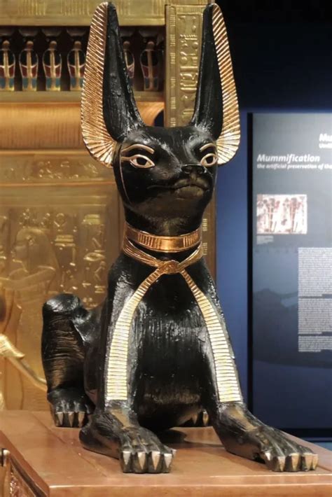 Anubis the egyptian god – Artofit