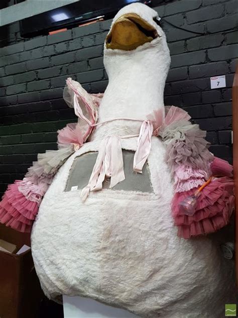 Lot Fairground Mother Goose Costume