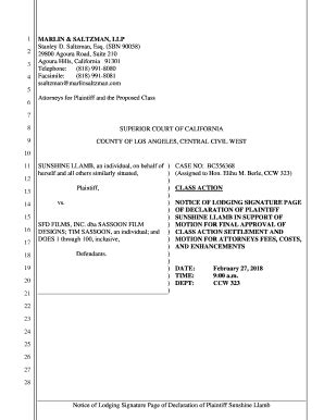 Fillable Online Notice Of Lodging Signed Declaration Of Plaintiff