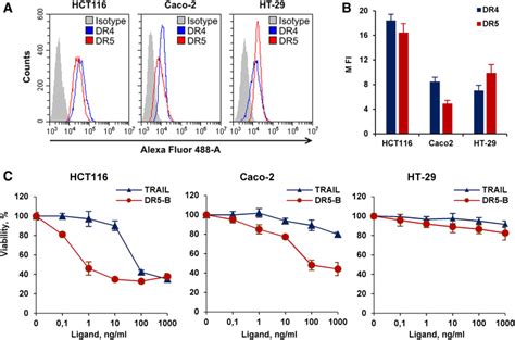 Genetically Modified Dr5 Specific Trail Variant Dr5 B Revealed Dual