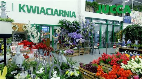 Oferta Wielkanocna W Centrum Ogrodniczym Jucca W Swarz Dzu Jasinie