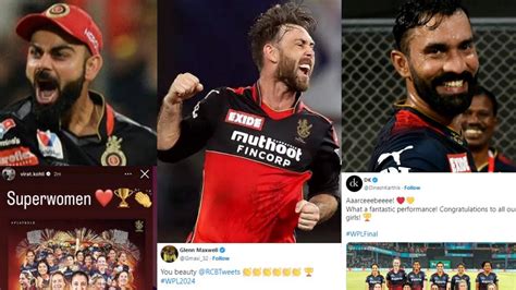 Virat Kohli Maxwell Chris Gayle Dinesh Karthik And Others React