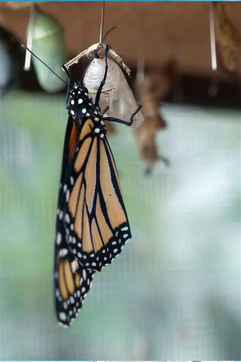 New Beginning Quotes to Inspire Fresh Starts 