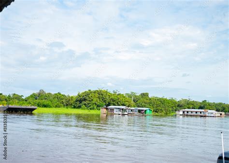 O rio amazonas Stock Photo | Adobe Stock