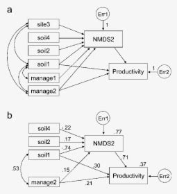 Sun Path Diagram, HD Png Download - kindpng