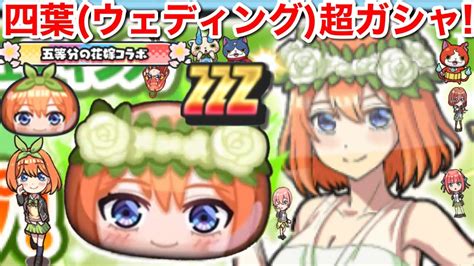 四葉 ウエディング 五等分の花嫁 コラボ 超ガシャ 無課金でぷにぷに楽しむ会！【妖怪ウォッチぷにぷに】一花 ニ乃 三玖 四葉 五月 五つ子