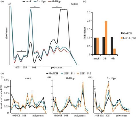 Ab Polysome Profiles Of Hippuristanol Treated K562 Cells A