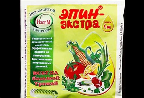 Эпин — особенности, методика использования, полезные советы