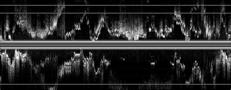 Segmentation Of Arterial Walls In Intravascular Ultrasound Cross Sectional Images Using Extremal