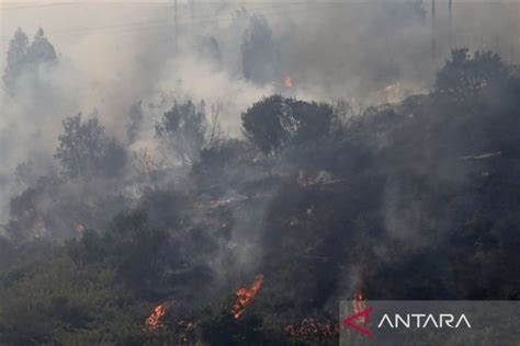 Satu Tewas Dan Jaringan Listrik Rusak Akibat Kebakaran Hutan Di Texas