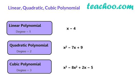 Differnet Types Of Polynomial Constant Linear Quadratic Teachoo