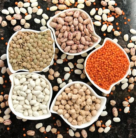 cook  popular beans foodisinthehousecom