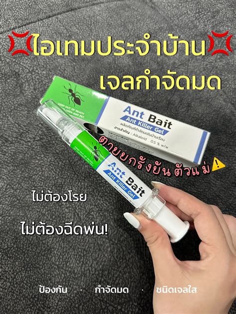 ⚠️กำจัดมดให้สิ้นซาก เจลกำจัดมด ตายยกรังยันตัวแม่ 🐜 แกลเลอรีที่โพสต์โดย Noohna Lemon8