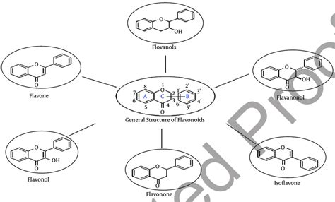 Classification of Flavonoids | Download Scientific Diagram 