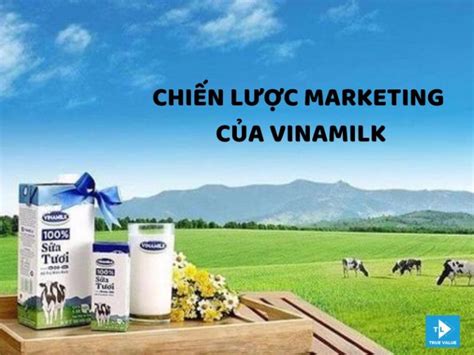 Chi N L C Marketing C A Vinamilk B I H C Ti P Th T Gi