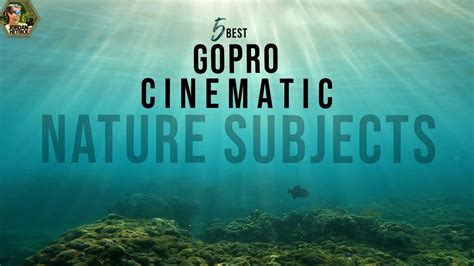 GoPro CINEMATIC TIPS 5 Best Nature Subjects YouTube