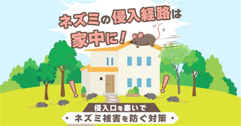 【図解】ネズミの侵入経路・侵入口を見つけて徹底的に塞ぐ対策！ ねずみ110番