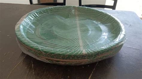 Banana Leaf Plate 14 Inch Green Buffet Patravali At Rs 55 Piece In Pune